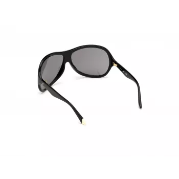 Gafas de sol mariposa mujer WEB EYEWEAR WE0290-6501A Havana acetato marrón degradado UV400