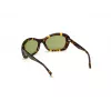 Gafas de sol de mujer WEB EYEWEAR WE0289-5652N habana acetato montura cuadrada lentes degradadas marrones 56/19/130 mm