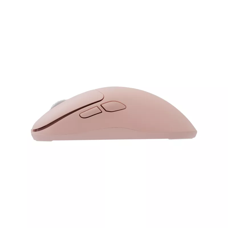 White Shark AERO PINK ratón gaming inalámbrico (rosa, 10000 DPI, 2,4 GHz/USB-C)