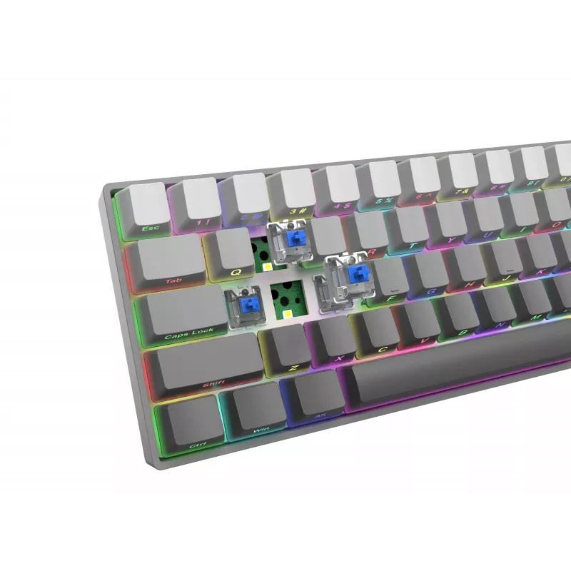 Teclado gaming mecánico White Shark Nunchaku TKL, gris, Outemu Blue Switch, RGB Hot-Swap, con cable USB