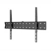 WINX MOUNT Simple Soporte de TV, 37-70 pulgadas, hasta 40 kg