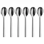 WMF Nuova Juego de cucharillas de café 6 piezas Cromargan Acero inoxidable Plata